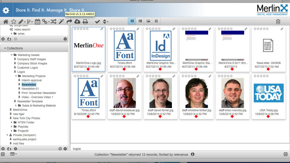 screenshot of MerlinX