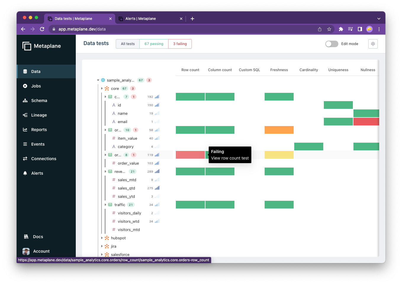 screenshot of Metaplane