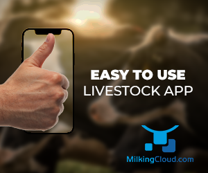 screenshot of MilkingCloud