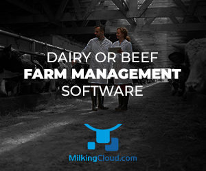 screenshot of MilkingCloud