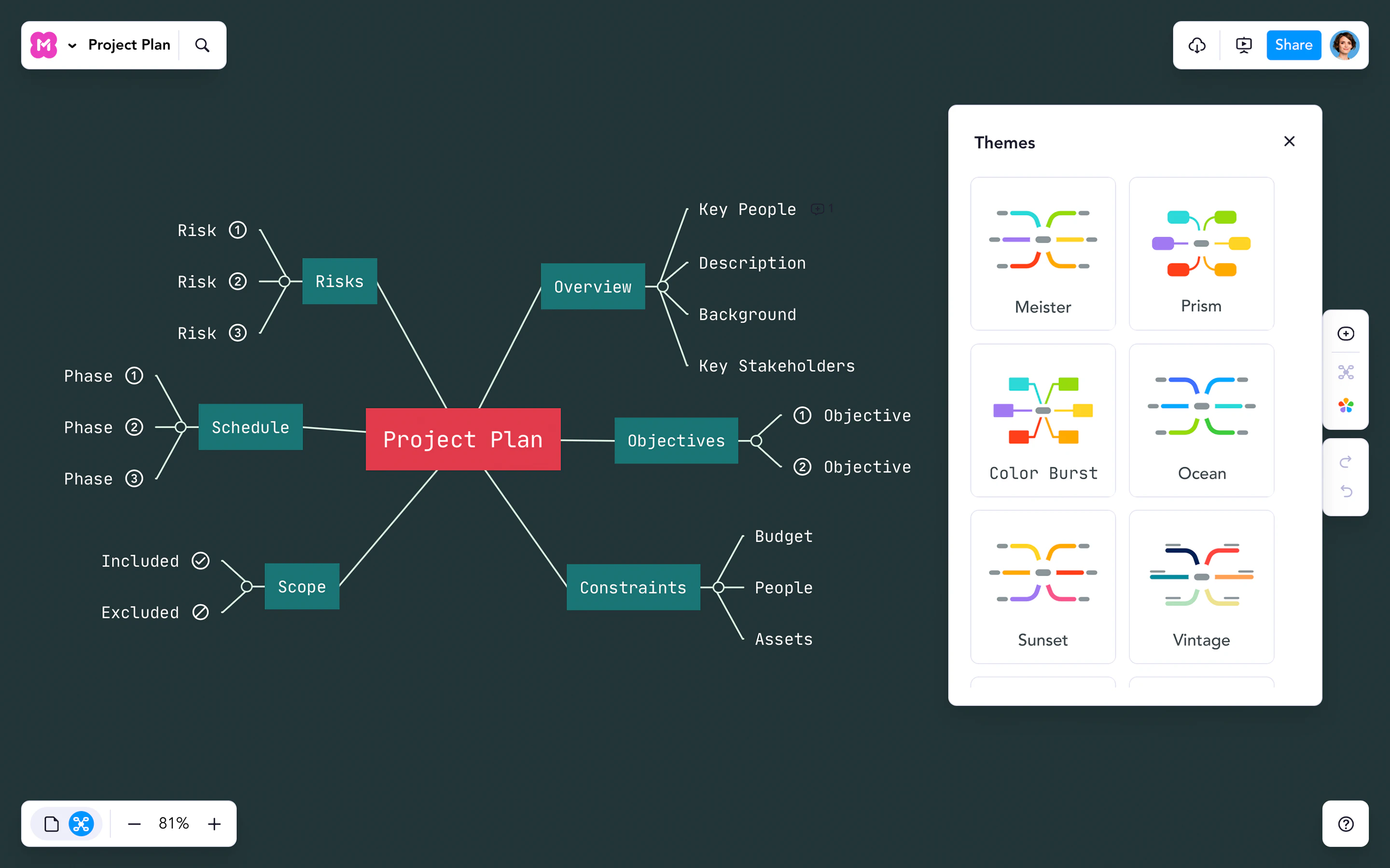 screenshot of MindMeister