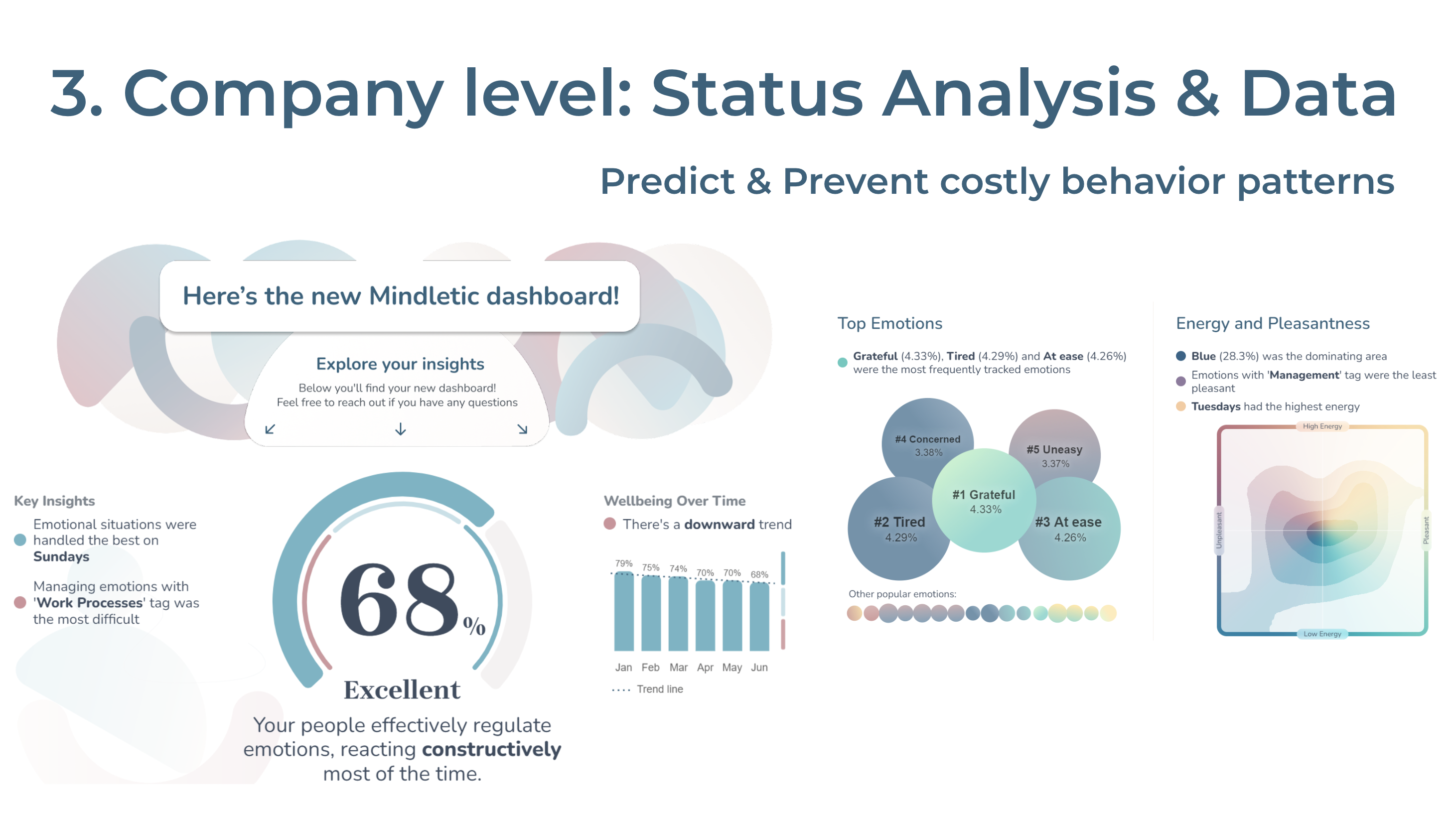 screenshot of Mindletic
