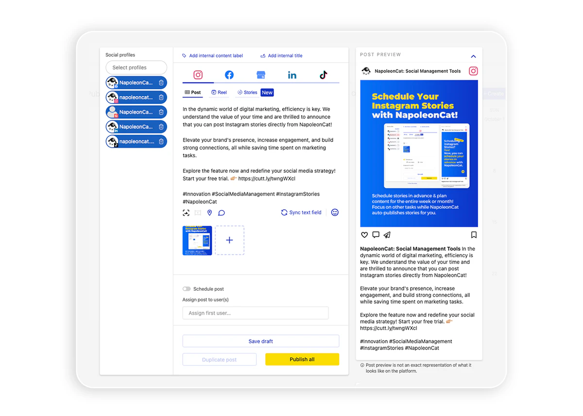 screenshot of NapoleonCat