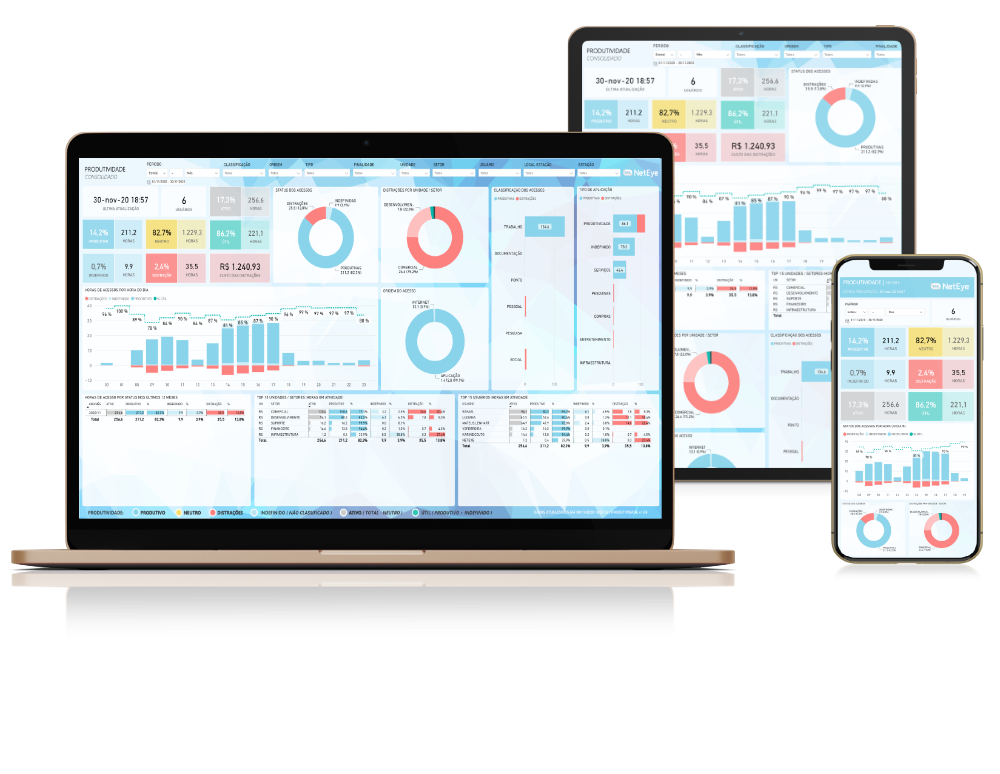 screenshot of NetEye