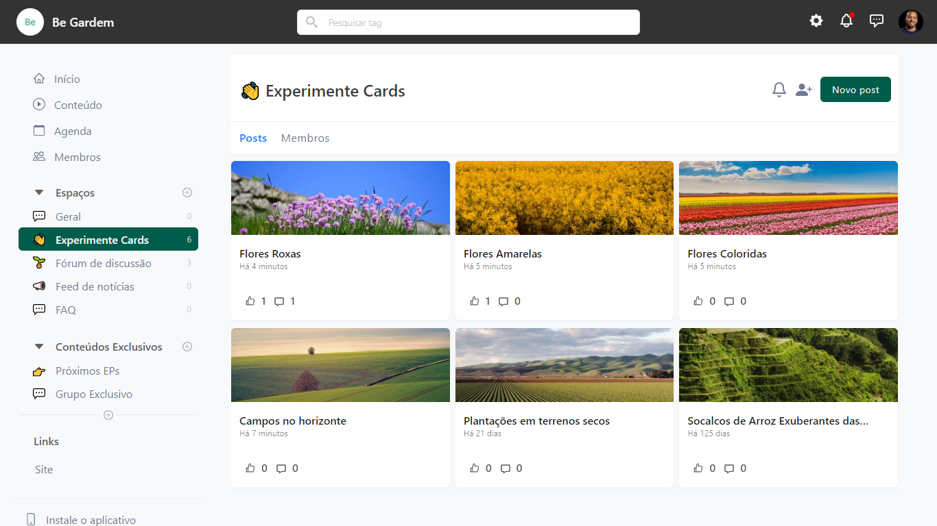 screenshot of Nichoos