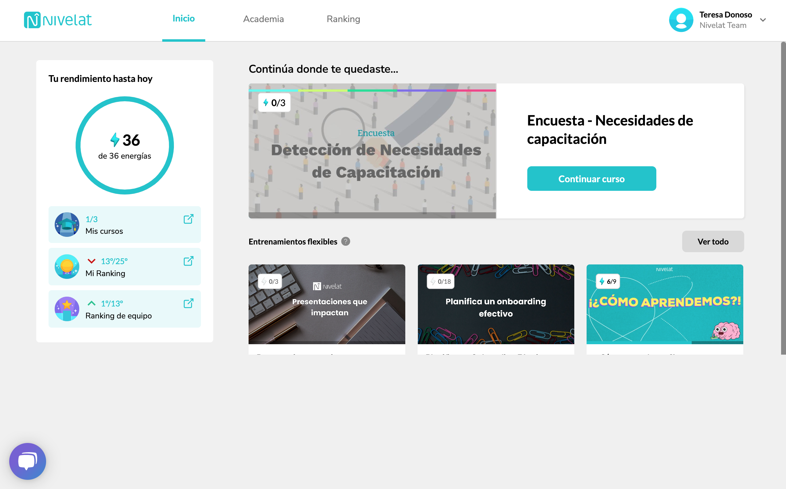 screenshot of Nivelat
