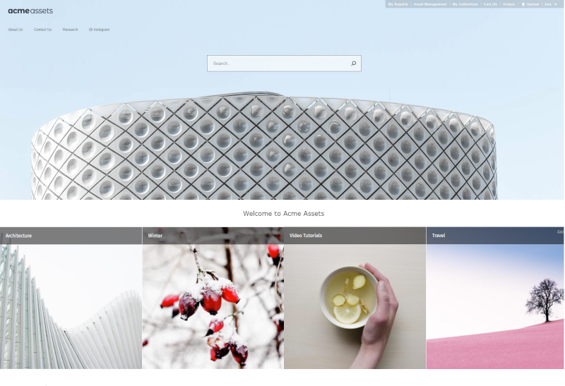screenshot of OrangeDAM