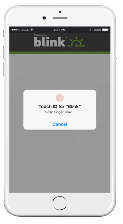 screenshot of Passportal