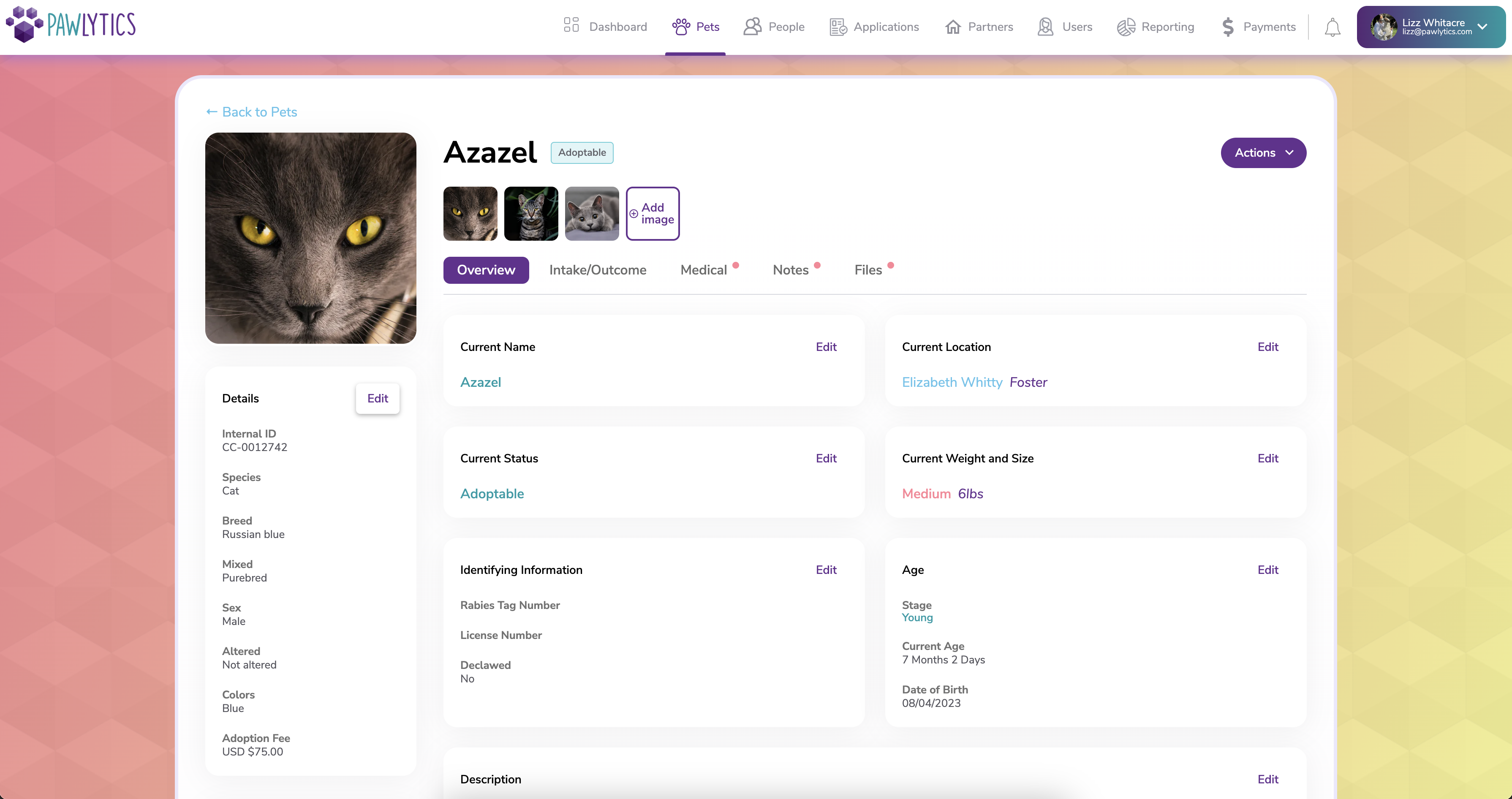screenshot of Pawlytics