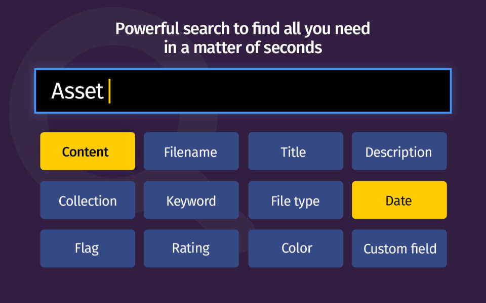 screenshot of Pics.io