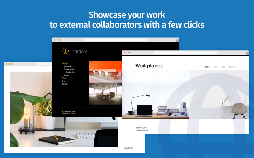 screenshot of Pics.io