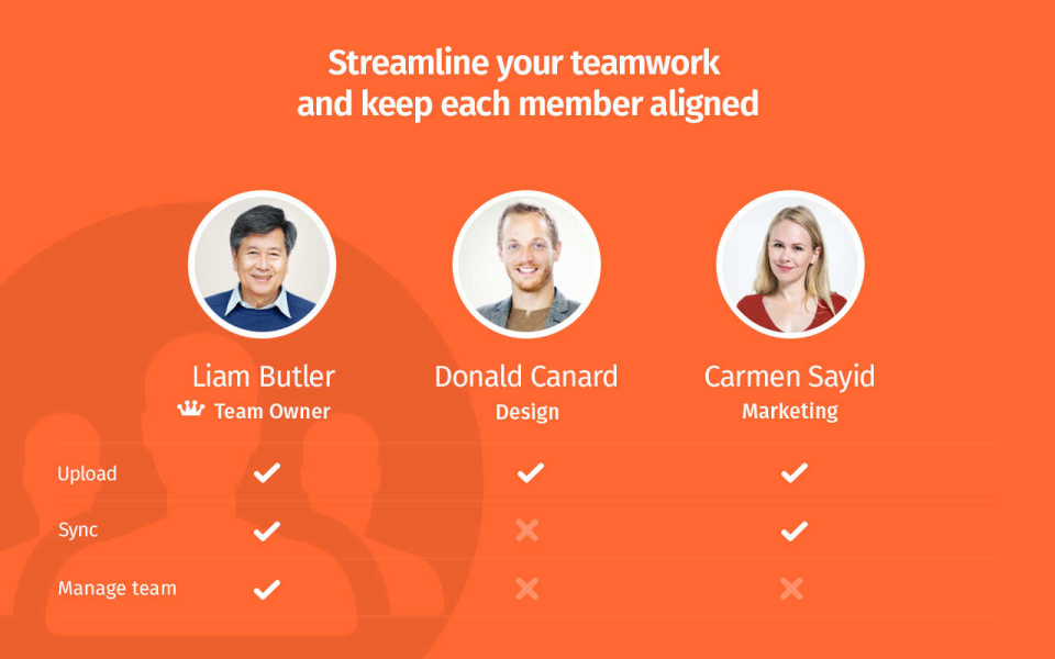 screenshot of Pics.io