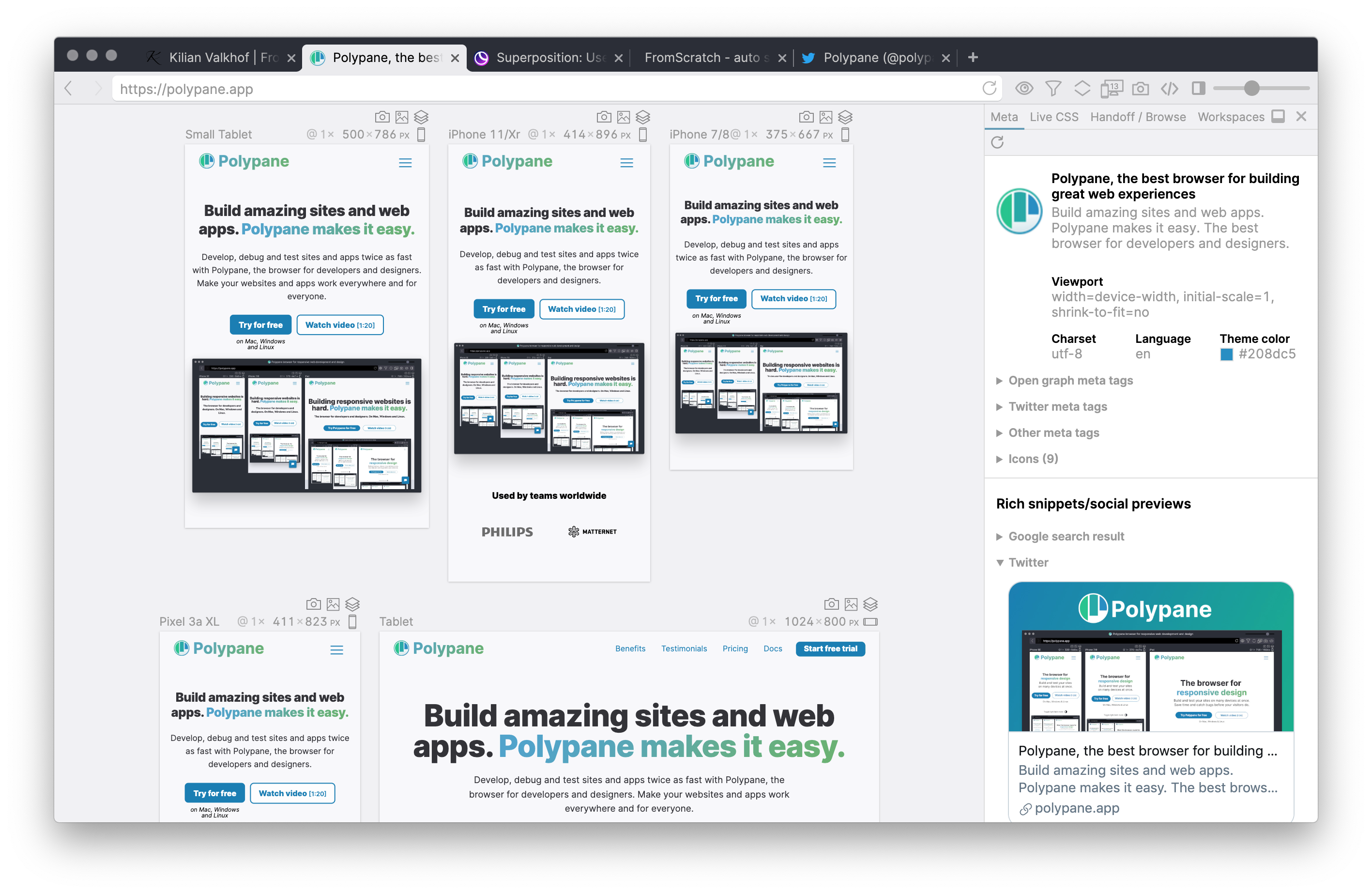 screenshot of Polypane