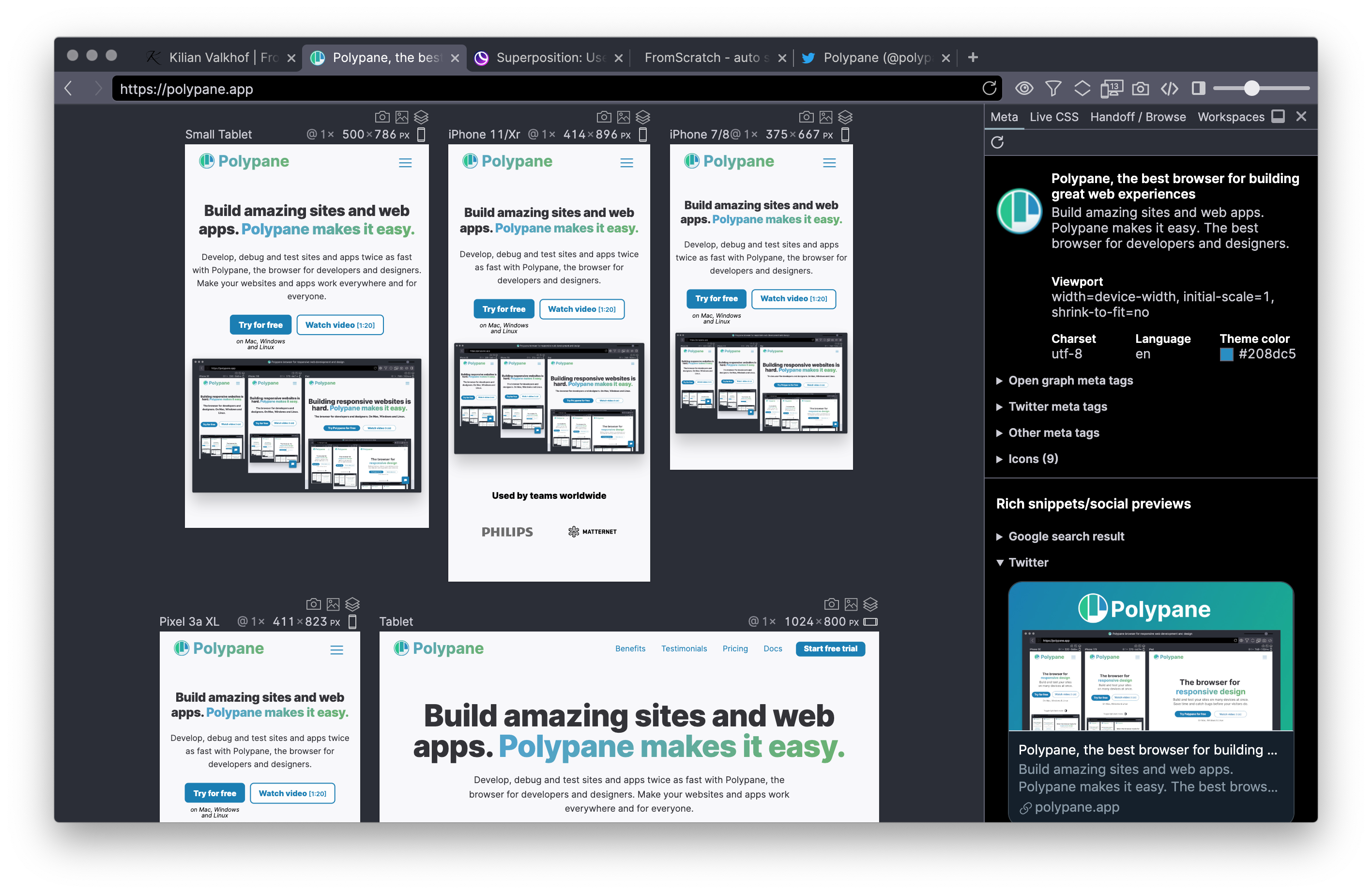 screenshot of Polypane