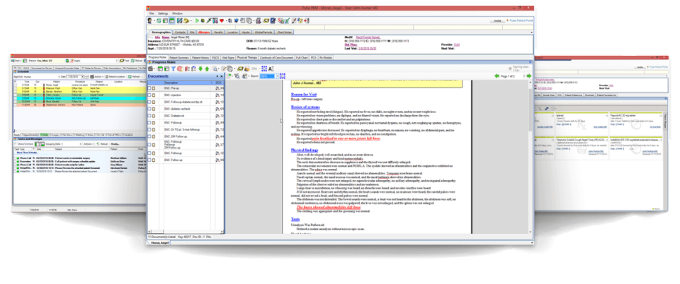 screenshot of PulseEHR