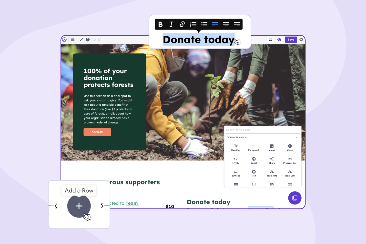 screenshot of Raisely