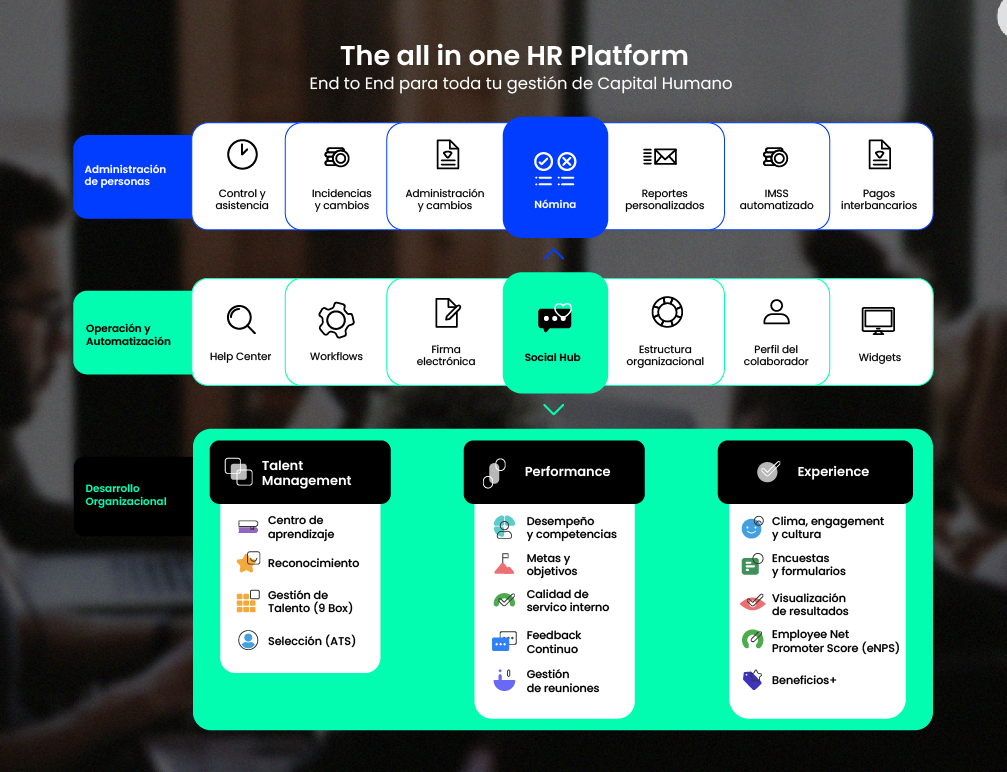 screenshot of Rankmi