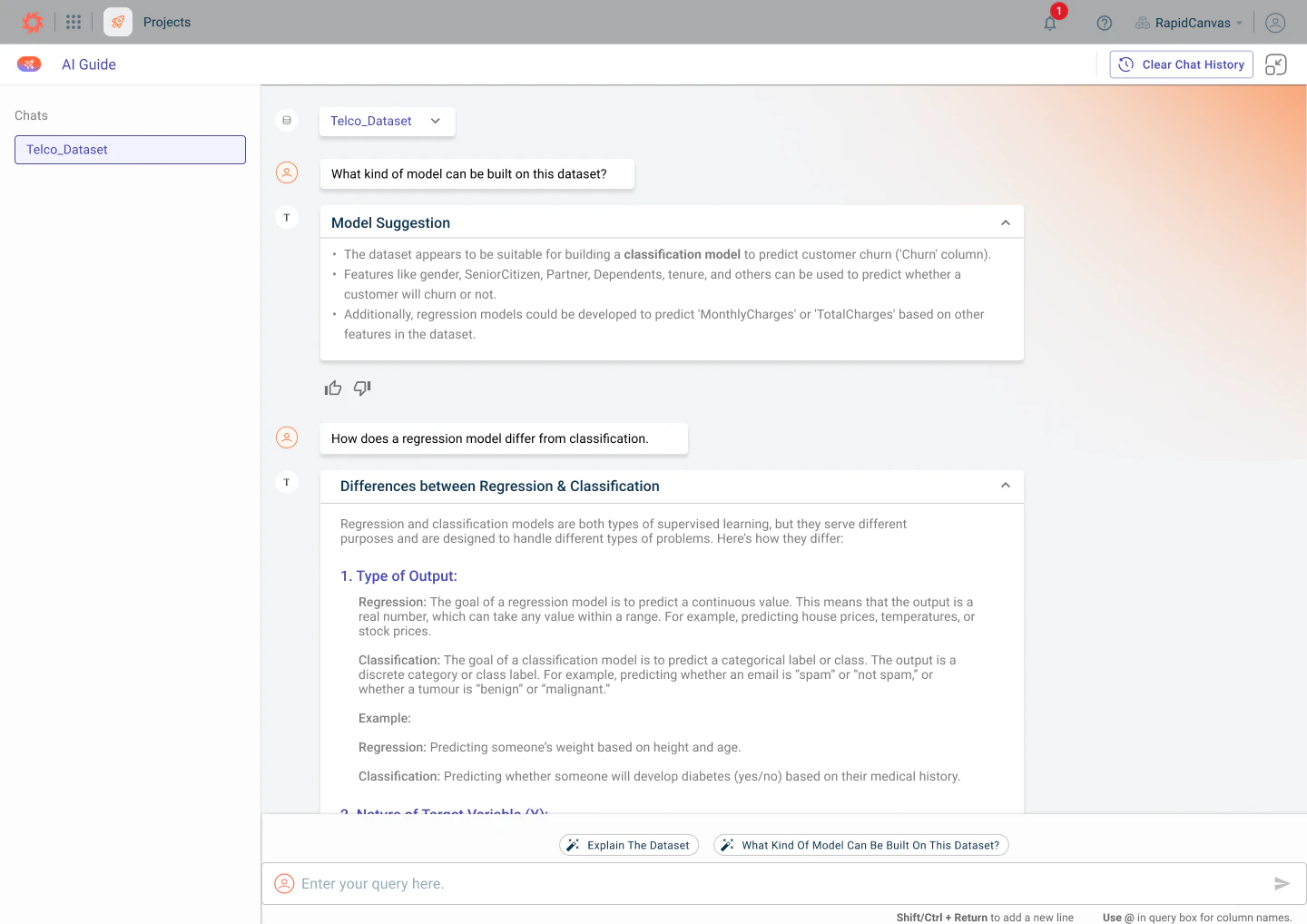 screenshot of RapidCanvas