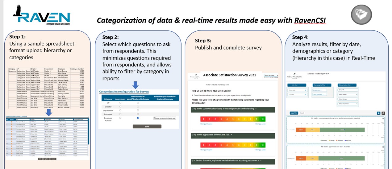 screenshot of RavenCSI