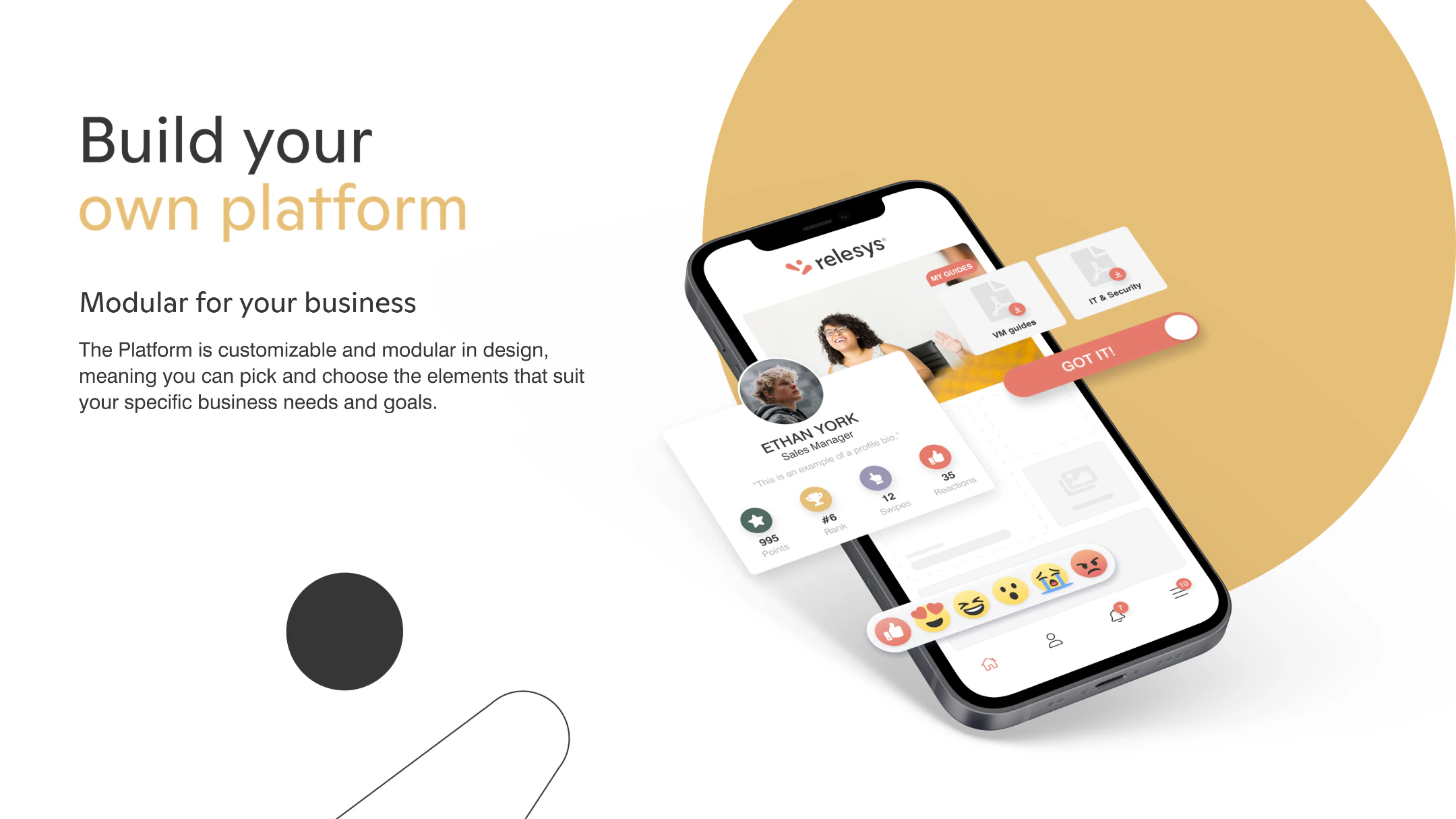 screenshot of Relesys