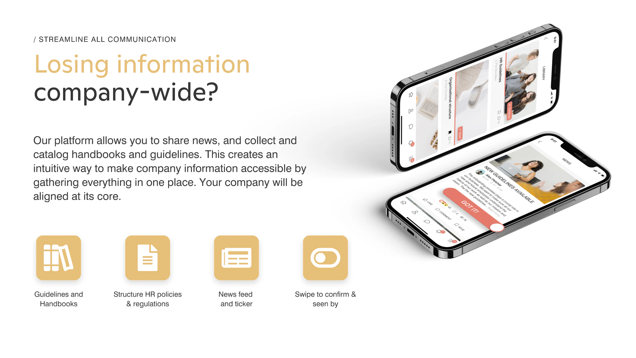 screenshot of Relesys
