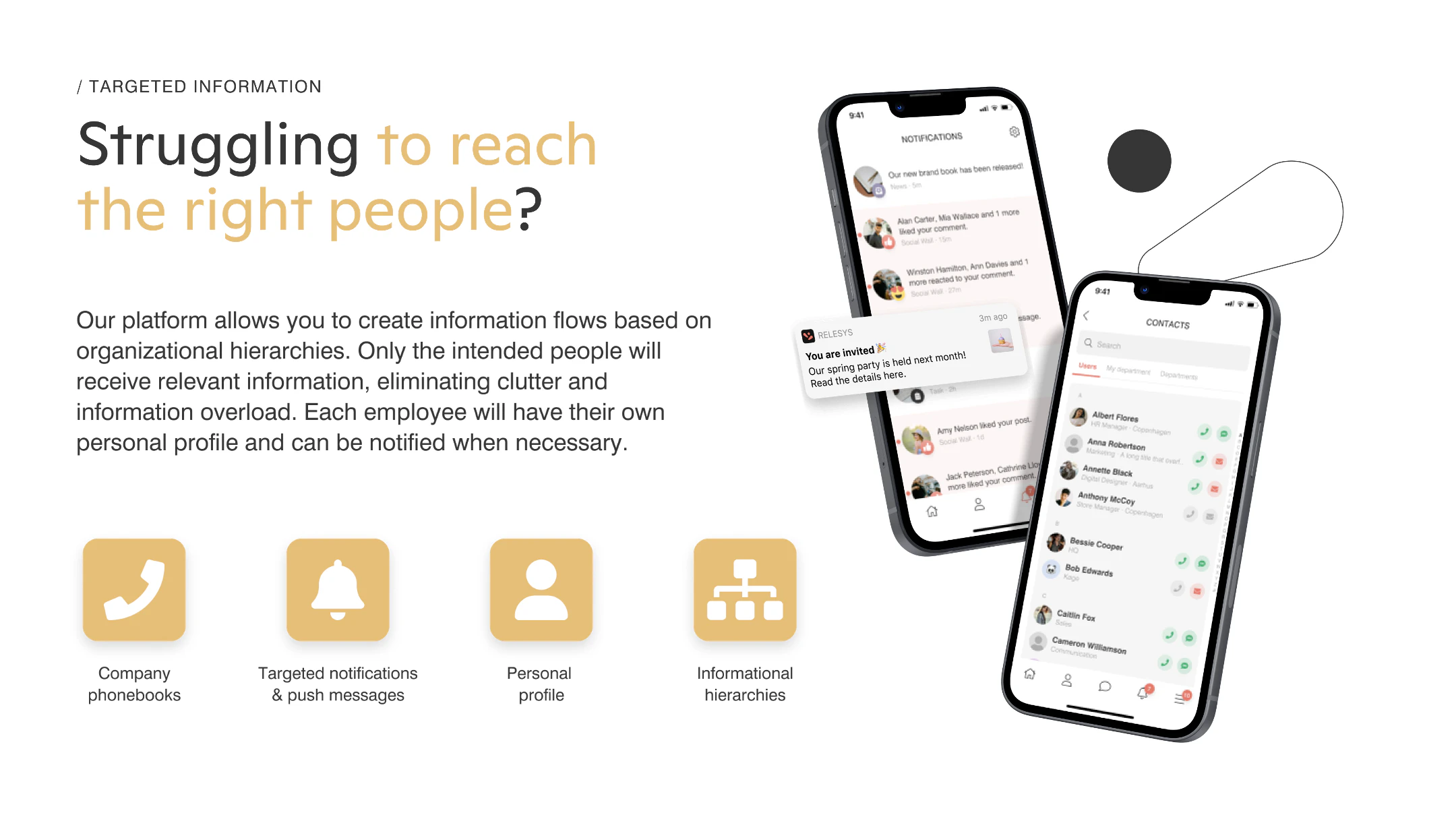 screenshot of Relesys