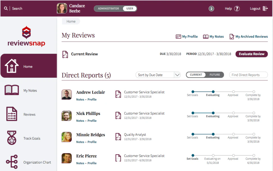 screenshot of Reviewsnap