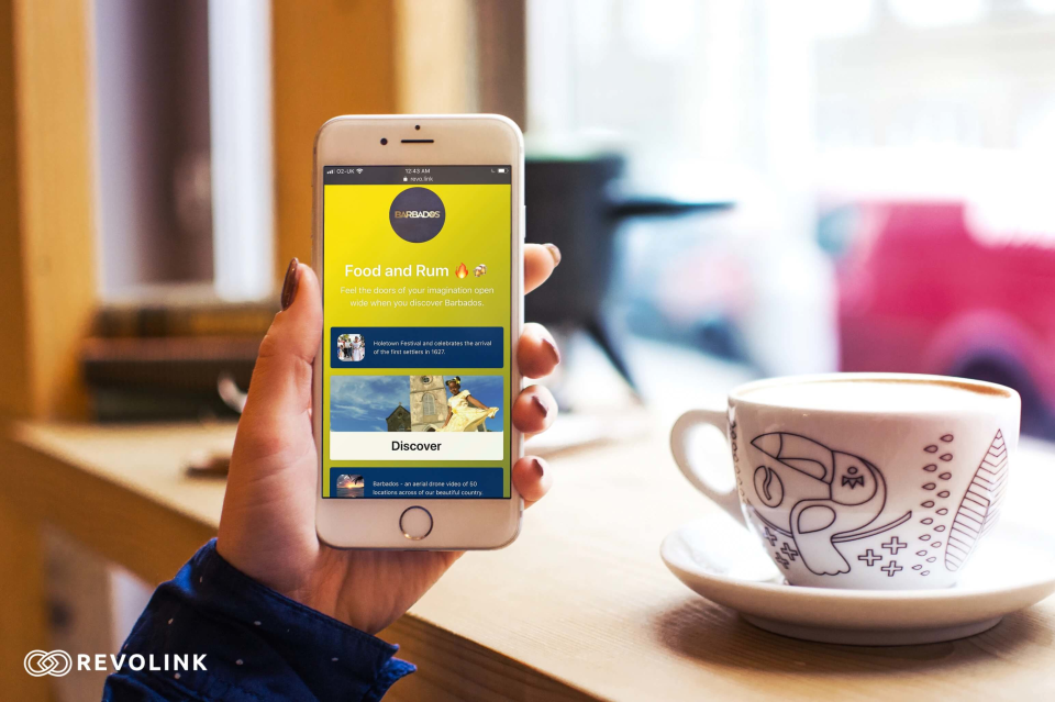 screenshot of Revolink