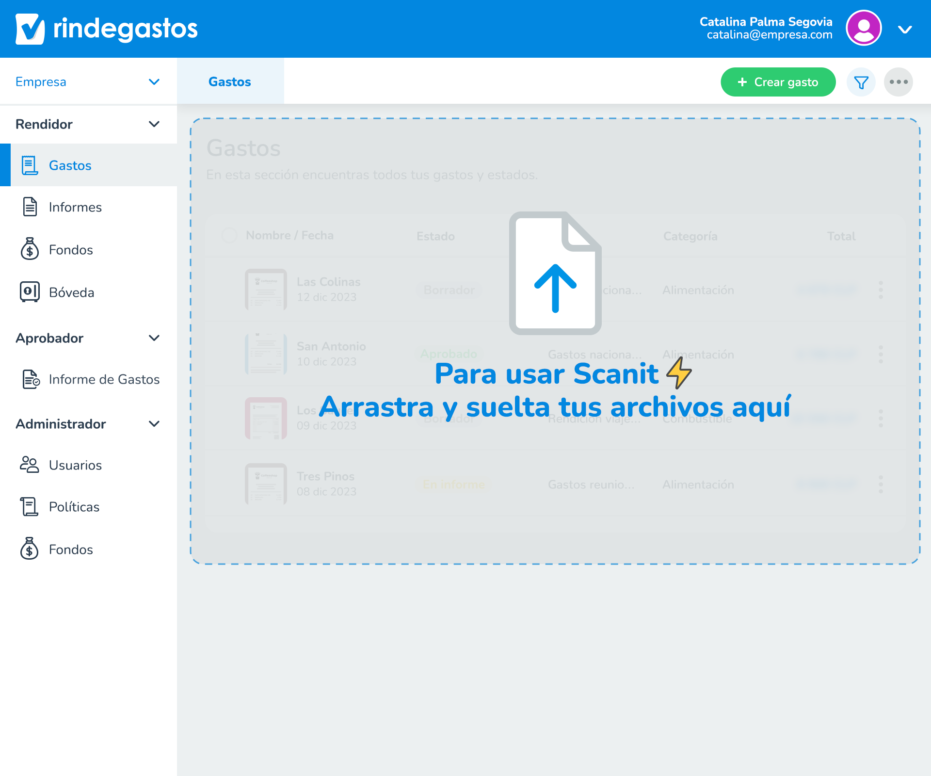 screenshot of Rindegastos