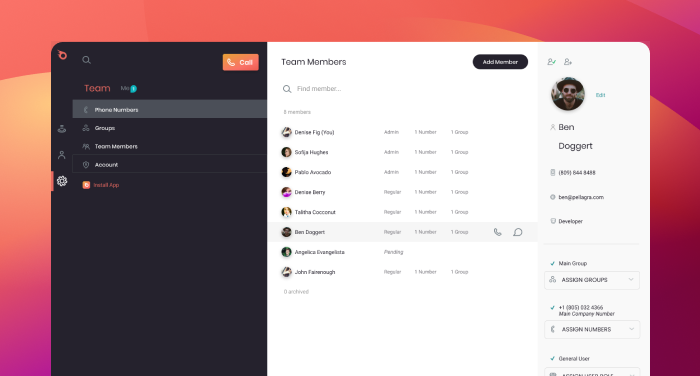 screenshot of Ringblaze
