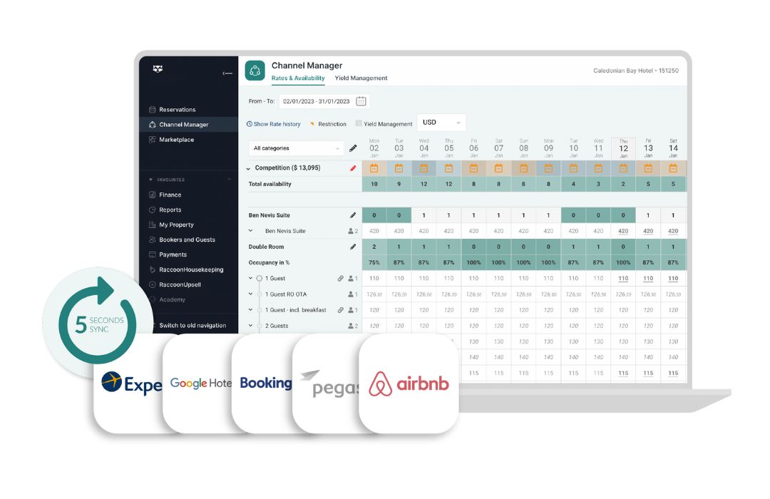 screenshot of RoomRaccoon
