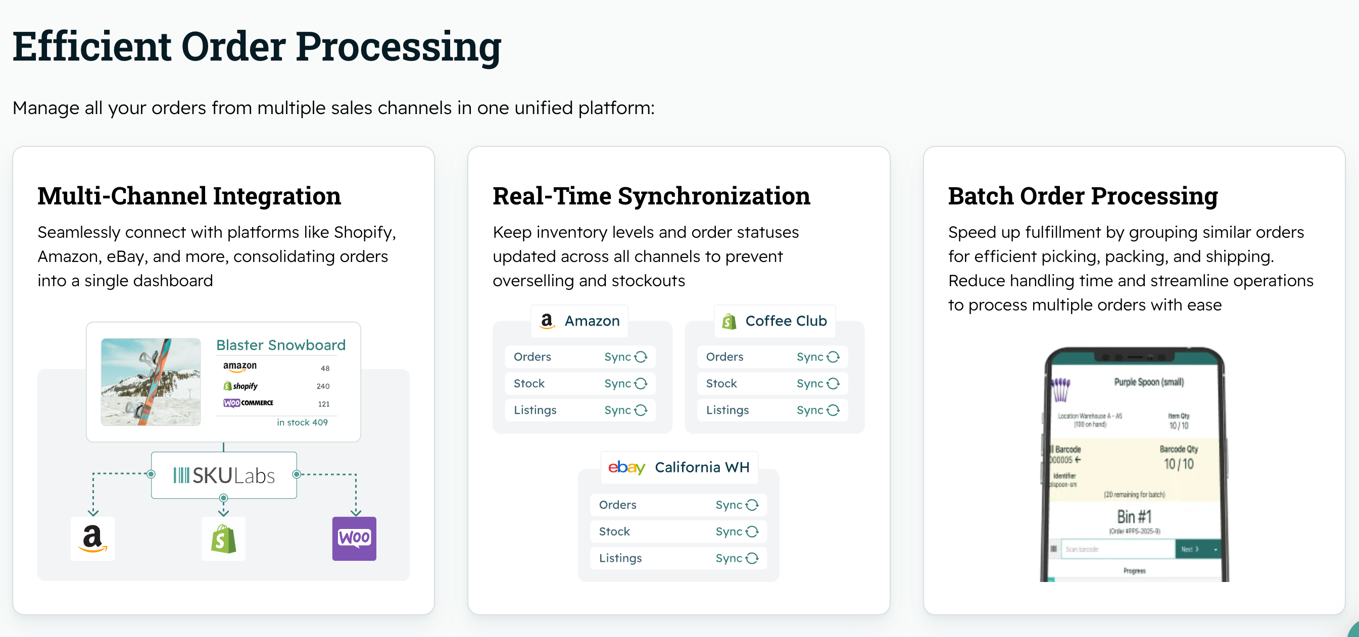 screenshot of SKULabs