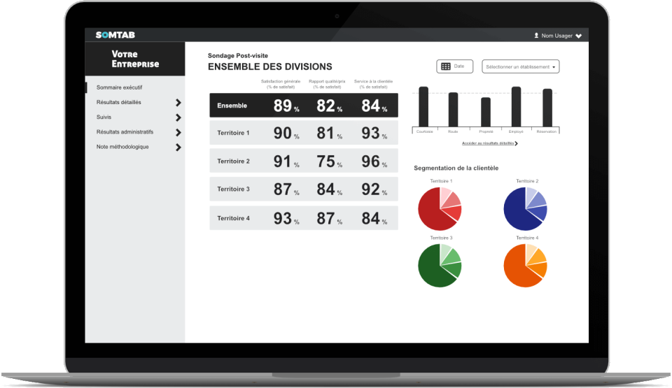 screenshot of SOMtab
