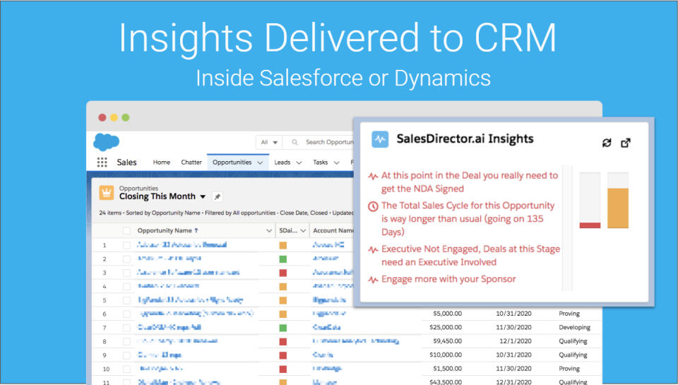 screenshot of SalesDirector.ai