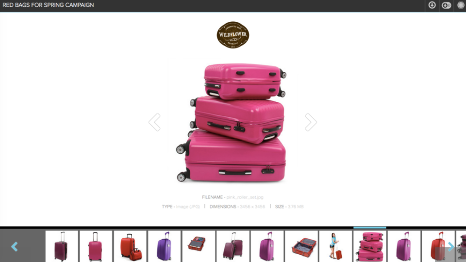 screenshot of Salsify