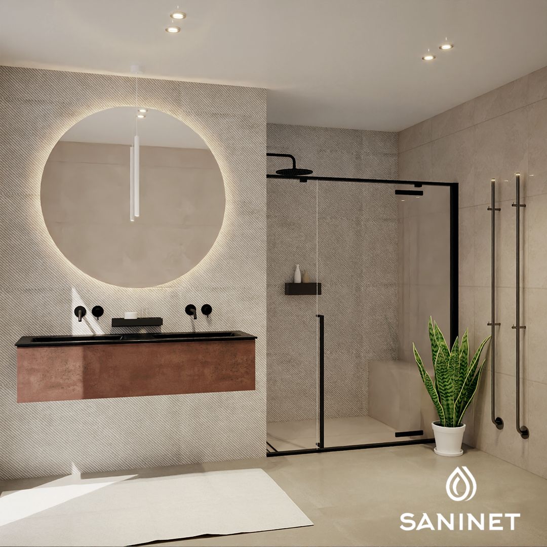 screenshot of Saninet