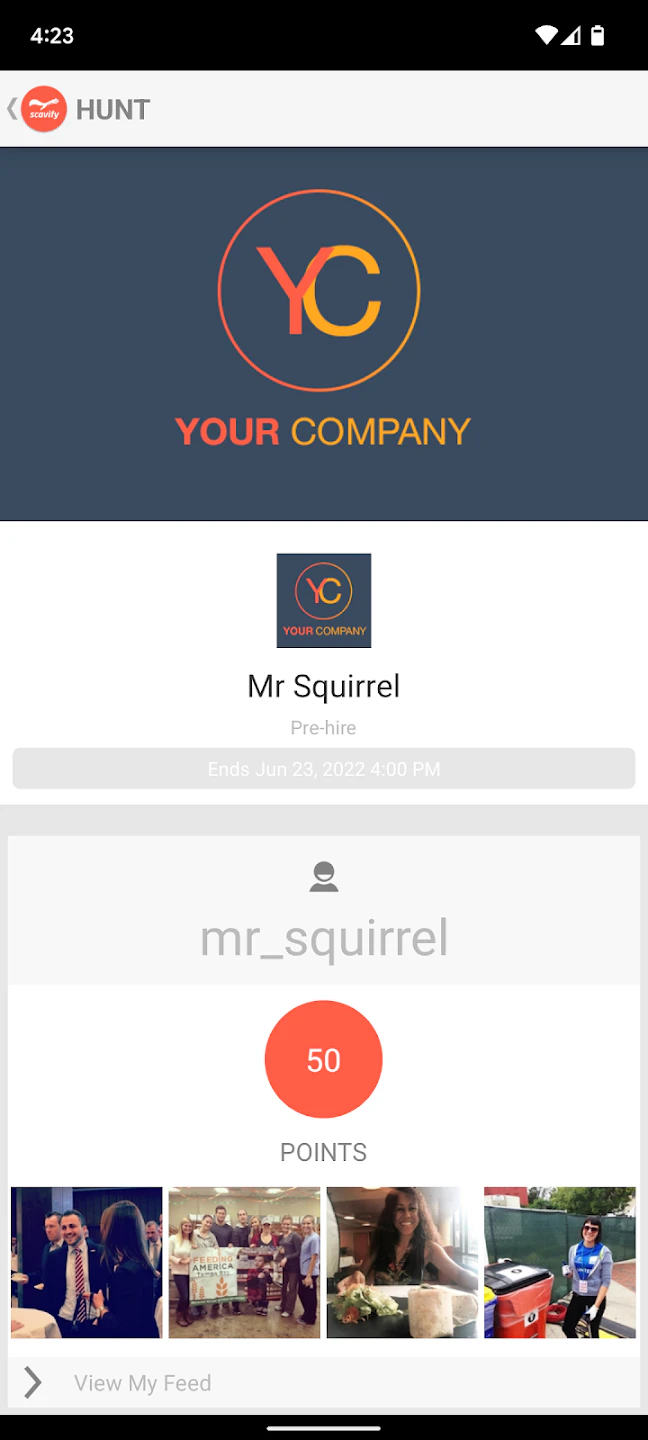 screenshot of Scavify