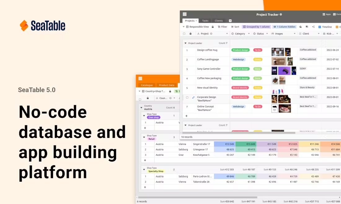 screenshot of SeaTable