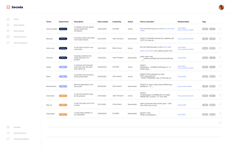 screenshot of Secoda