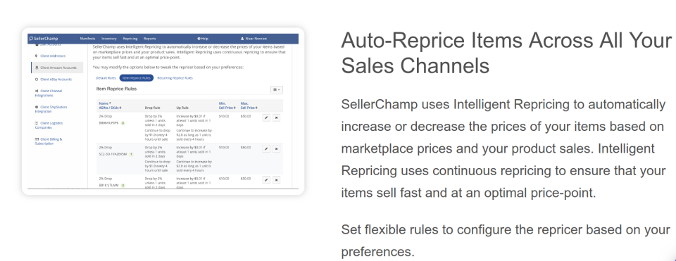 screenshot of SellerChamp