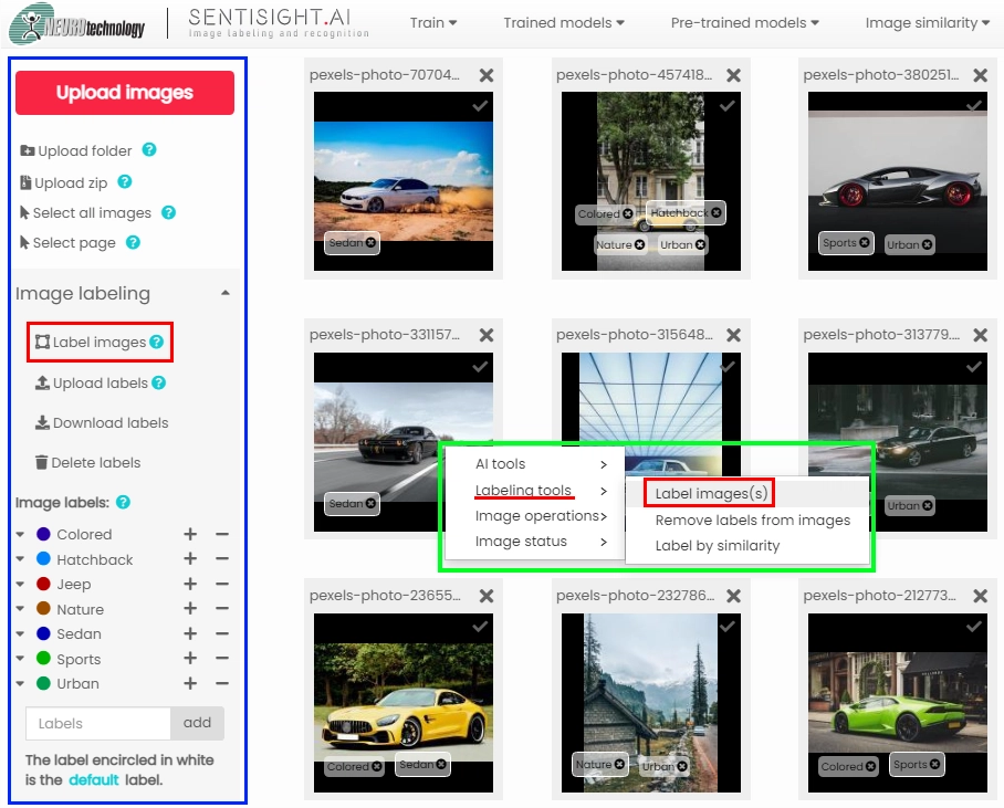 screenshot of SentiSight.ai