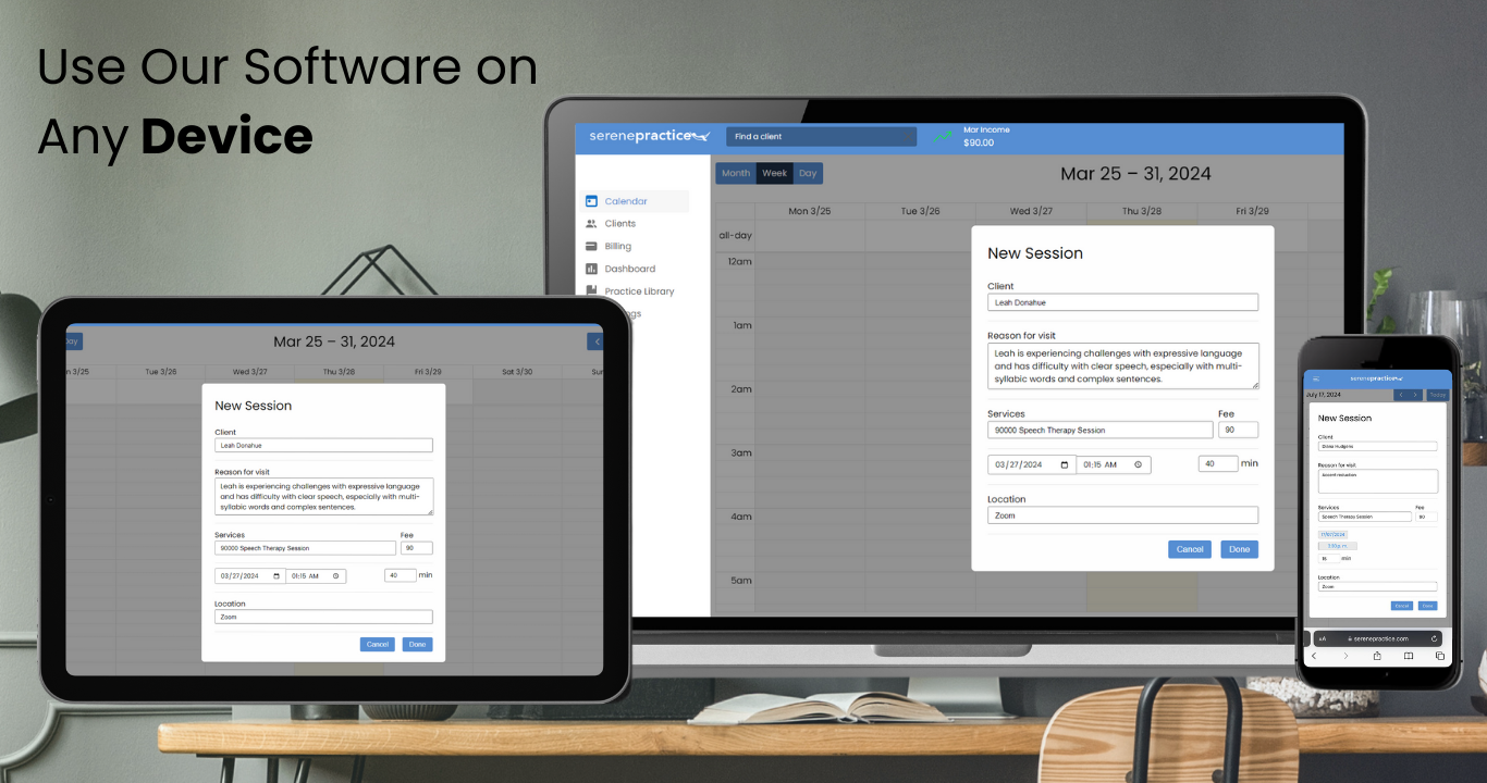 screenshot of SerenePractice