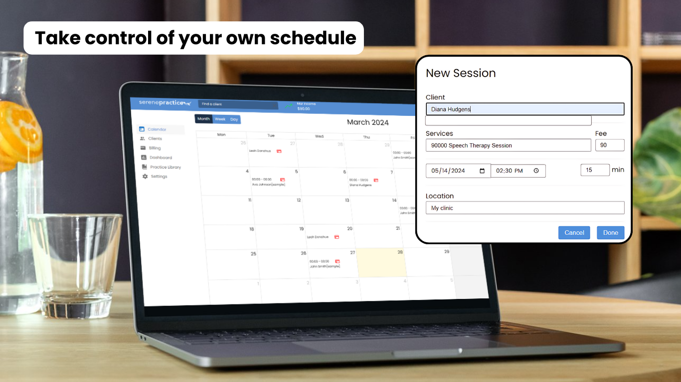 screenshot of SerenePractice