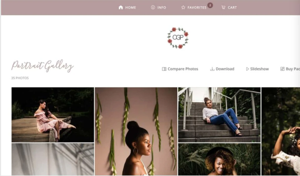 screenshot of ShootProof