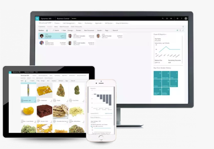 screenshot of SilverLeaf