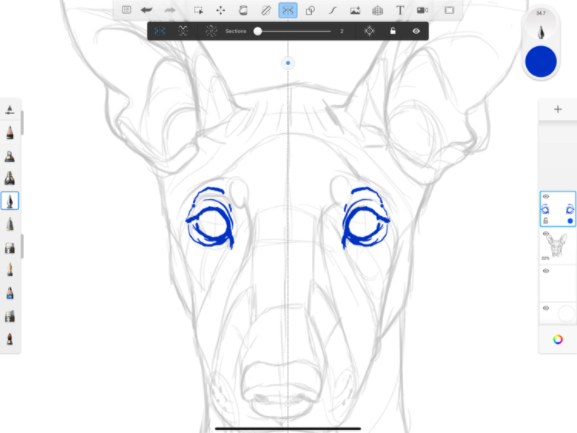 screenshot of Sketchbook