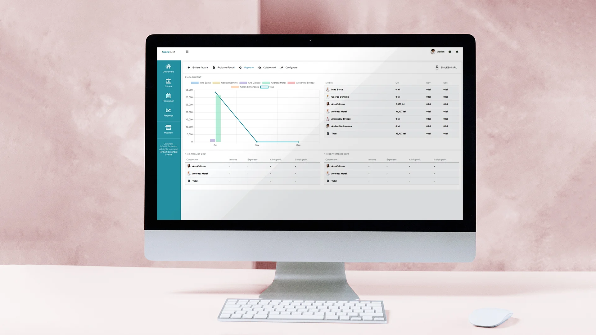 screenshot of SmileSIM