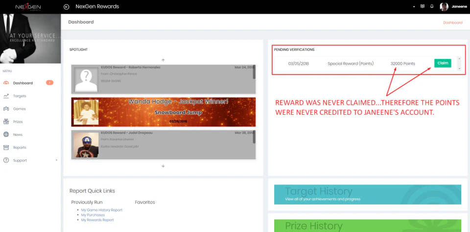 screenshot of Snowfly
