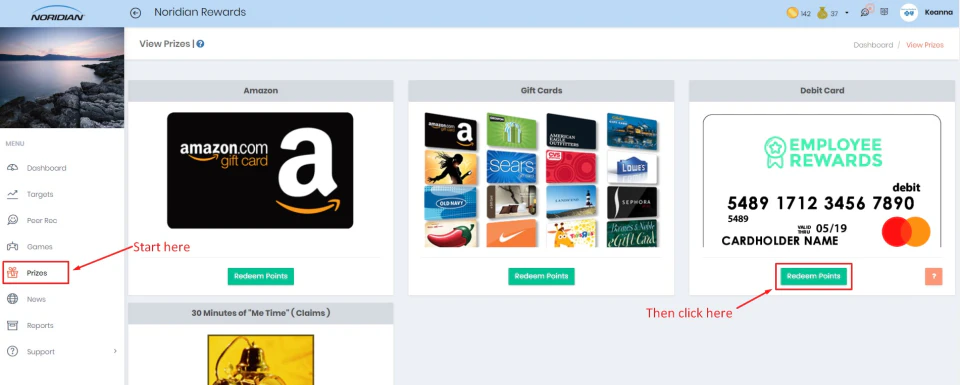 screenshot of Snowfly