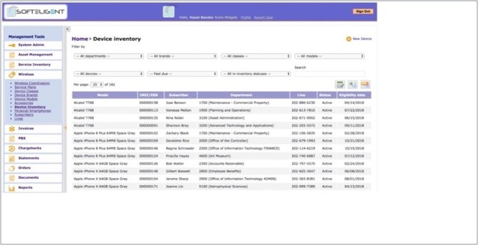 screenshot of Softeligent